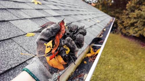 AdobeStock_300042919